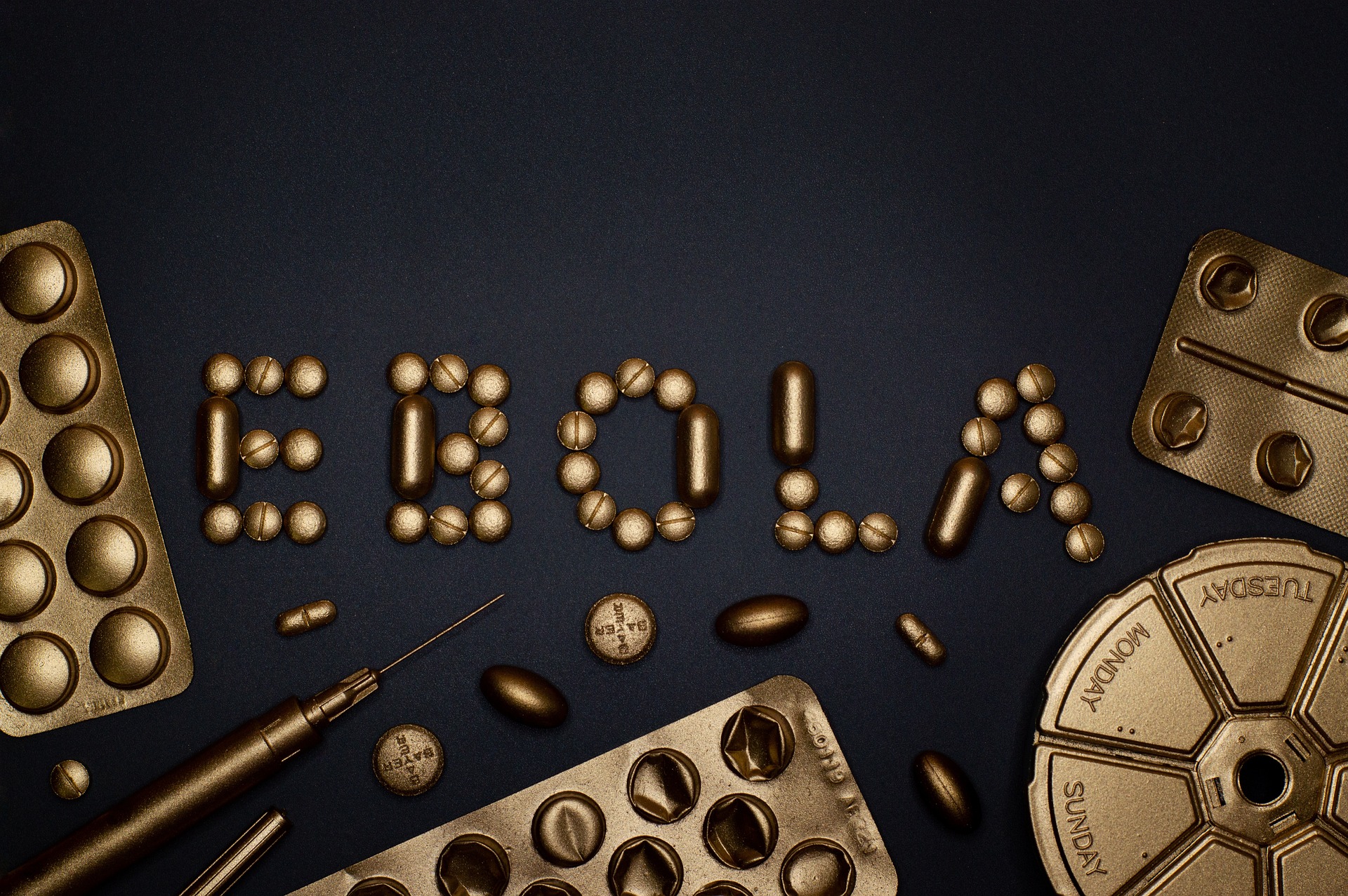 Hemoragična mrzlica Ebola