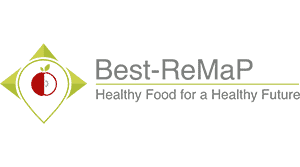 best_remap_logo