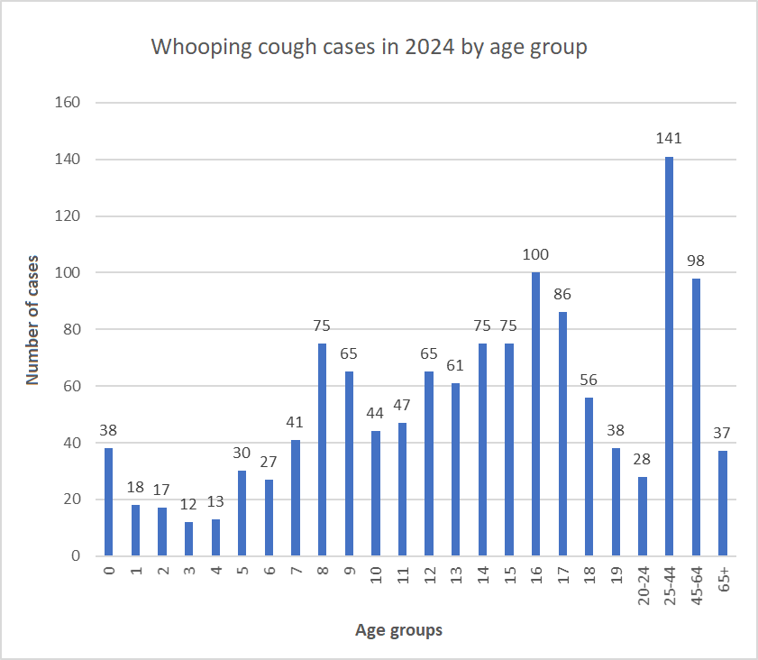 Whooping cough cases in 2024 by age group