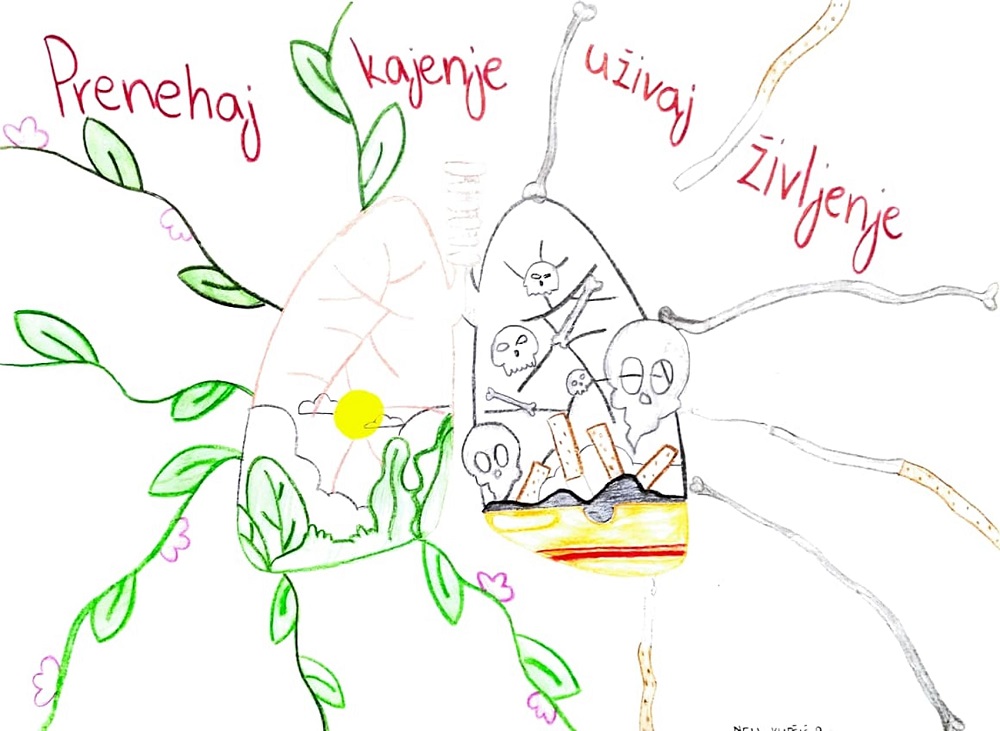 2. Evelina Neli Kupčič, 9. r. , OŠ SV.Jurij ob Ščavnici