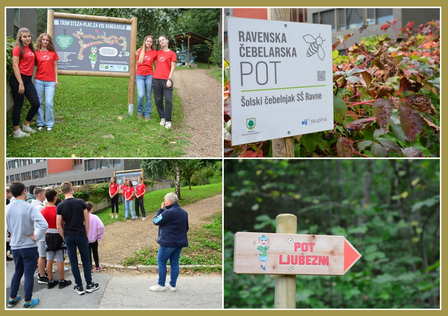 Koroška v gibanju 6
