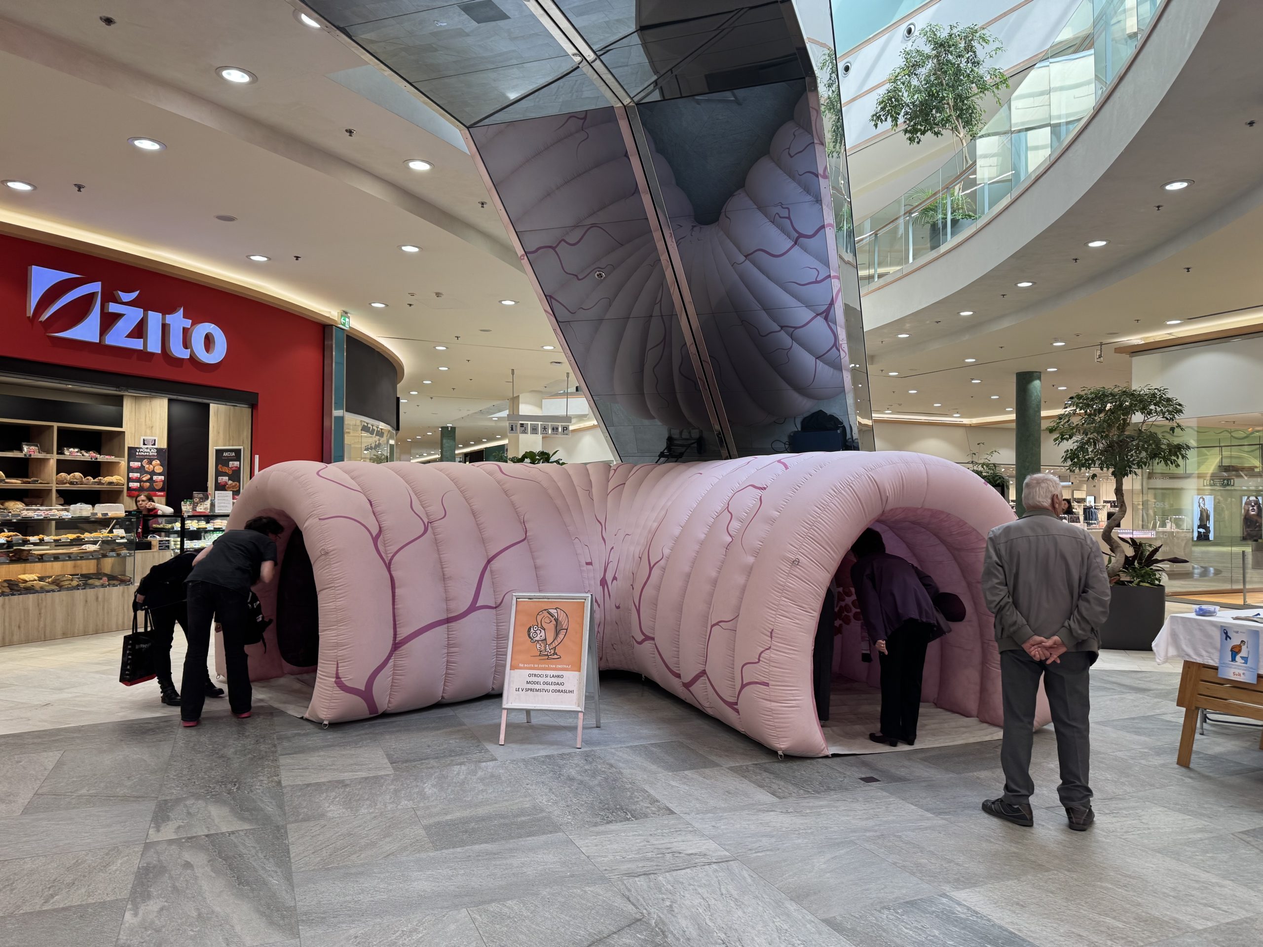 Svit1_OE Maribor