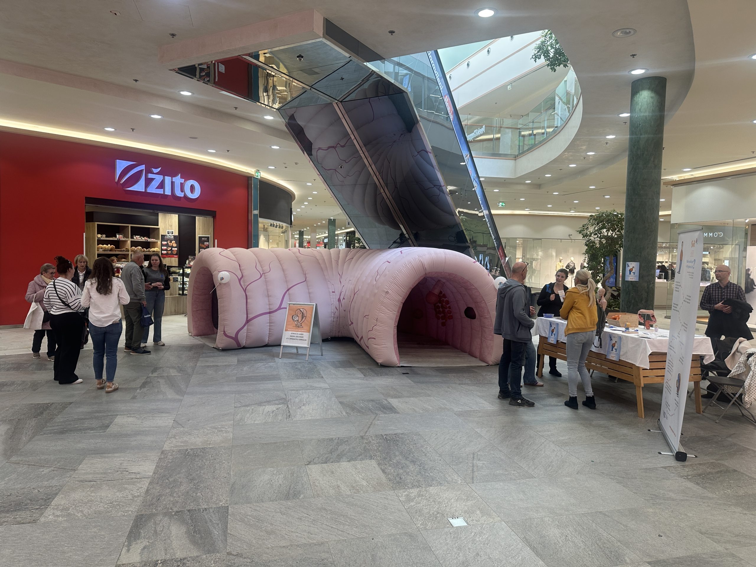 Svit3_OE Maribor