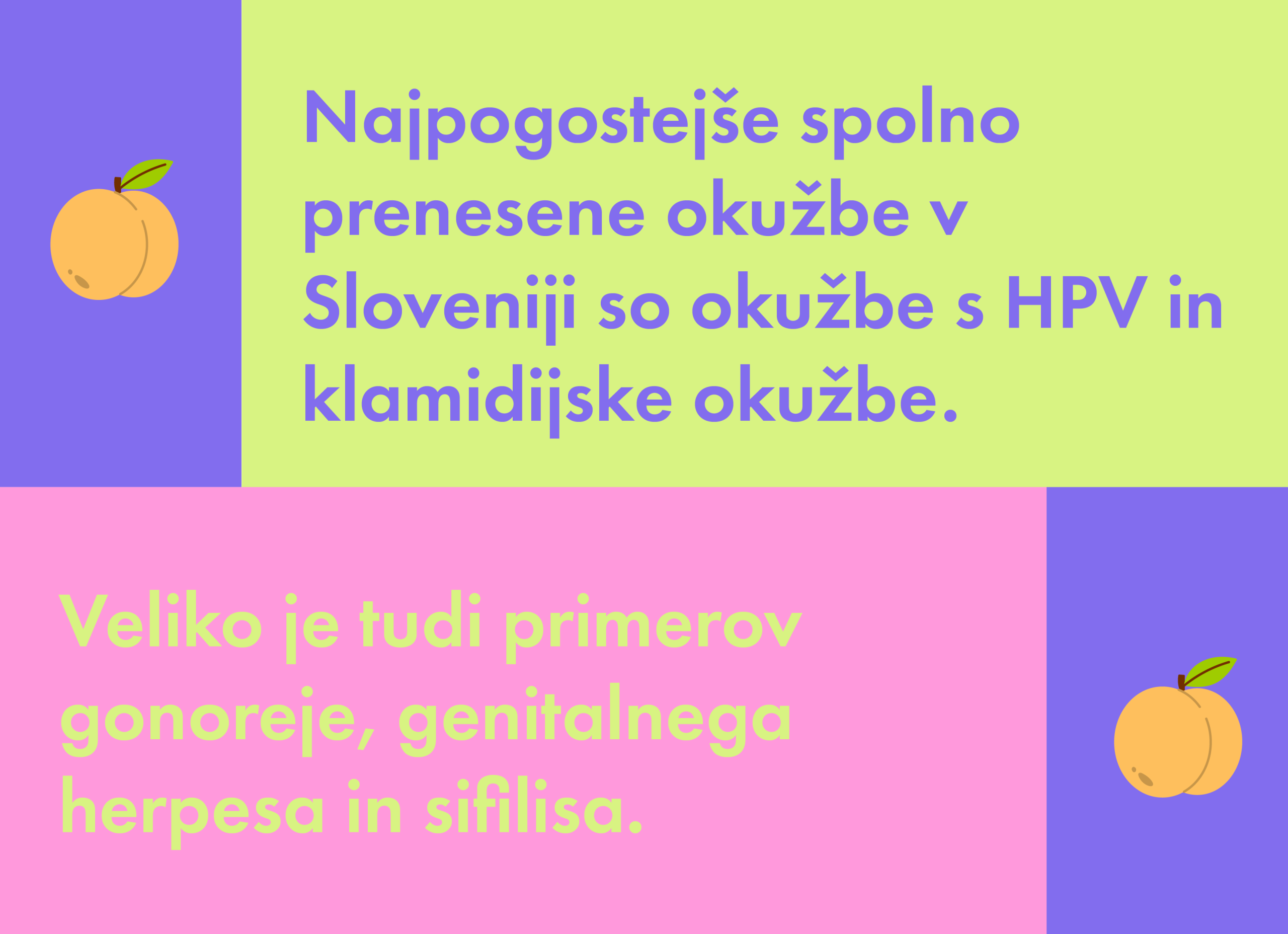 SPLETNA GRAFIKE_Artboard 16 copy 2